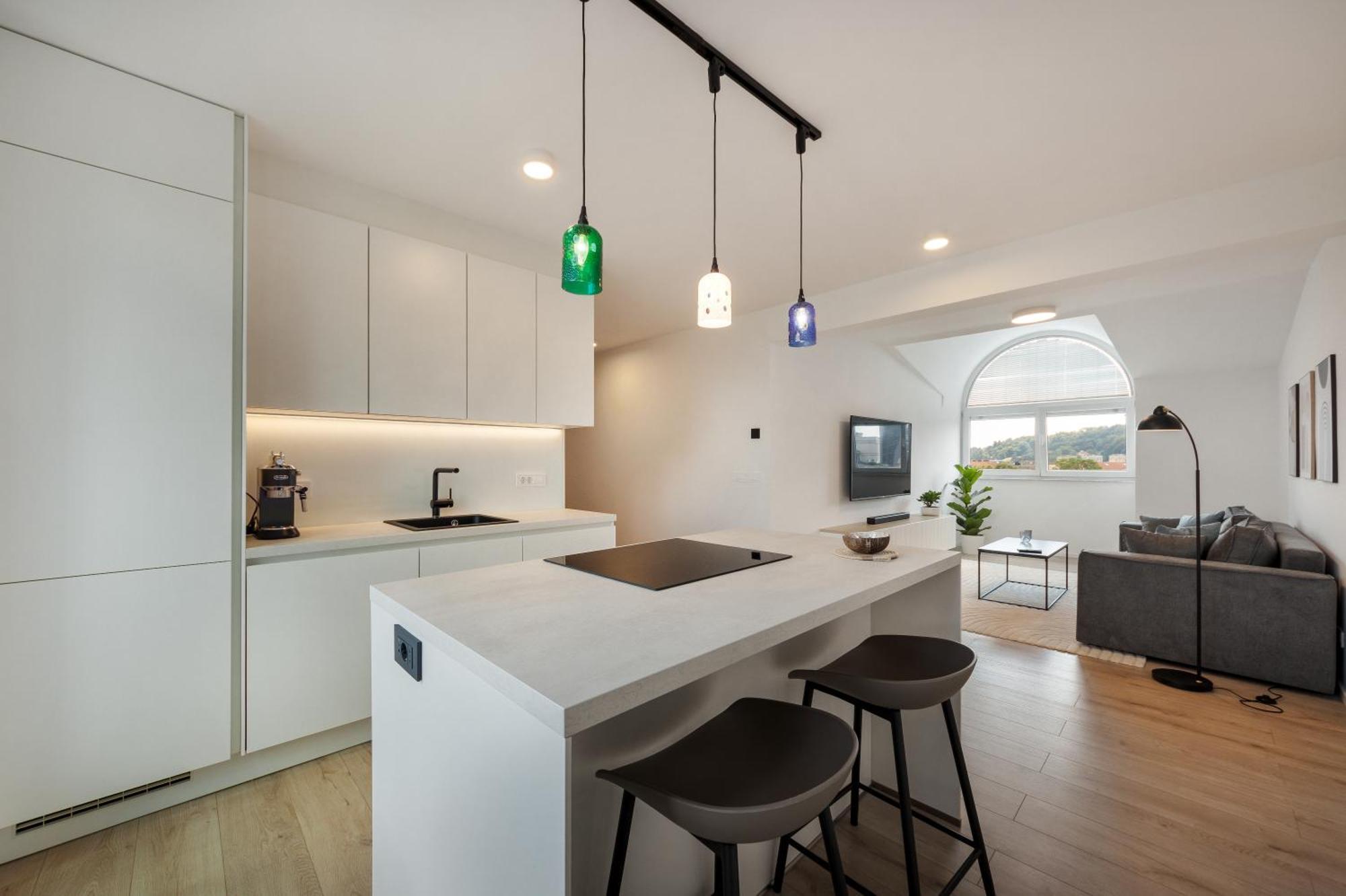 Luxe Penthouse With A Castle View 卢布尔雅那 外观 照片